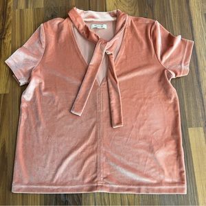 Pink velvet blouse